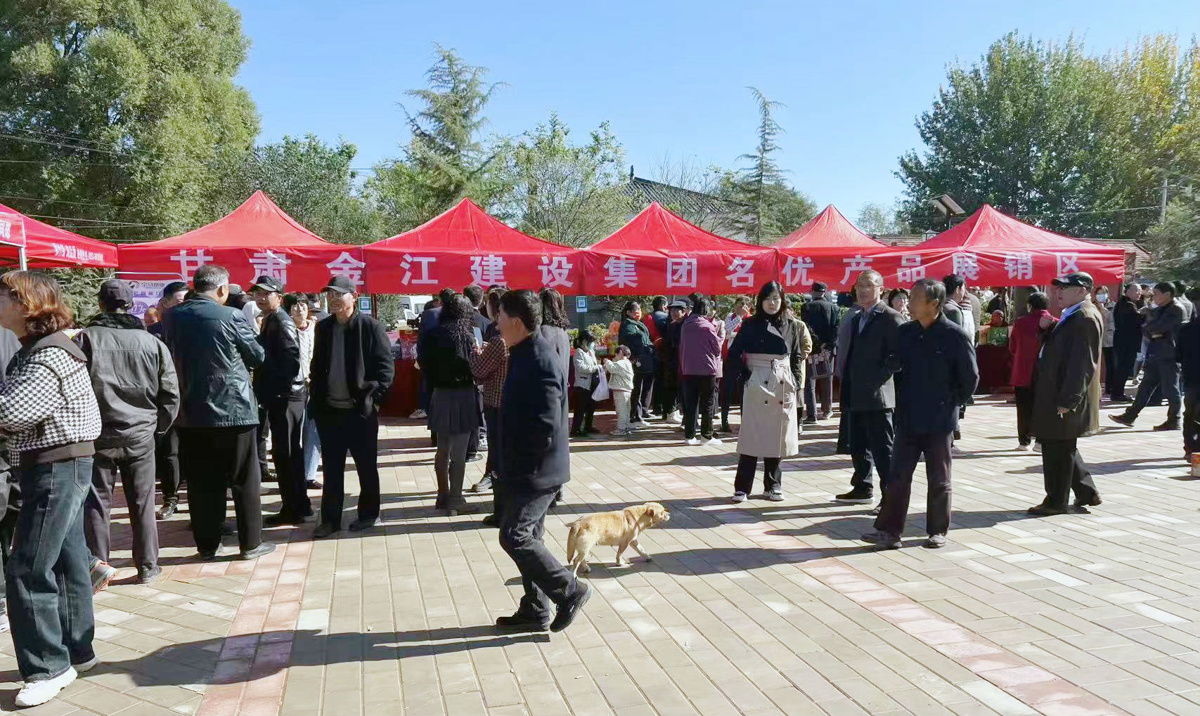 �ܴ��h���(zh��n)���P(gu��n)���hȺ����(w��)�������Ļ��V��(ch��ng)��ɽ��Ӄxʽ�A�M�e��